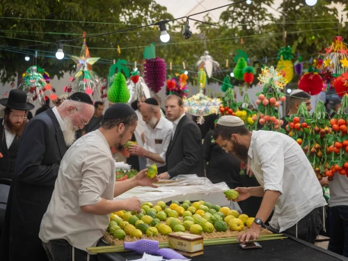 Jews examine a citron, known as an etrog, for purchase at a 'four-species' market ahead of Sukkot in Jerusalem, Oct. 3, 2025. Photo by Chaim Goldberg/Flash90.