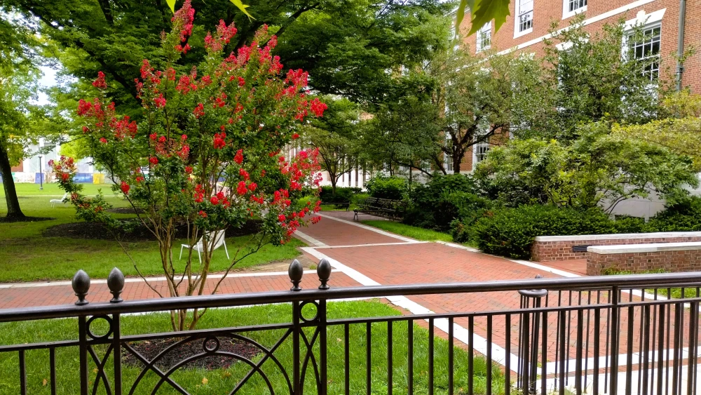Johns Hopkins University campus in Baltimore. Photo by Carin M. Smilk.