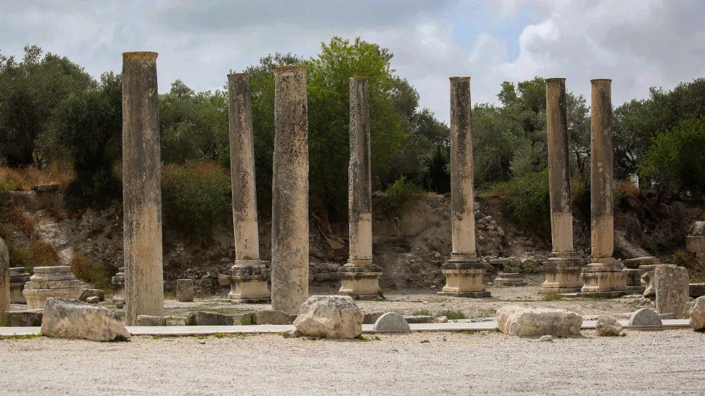 Archeological site of Sebastia