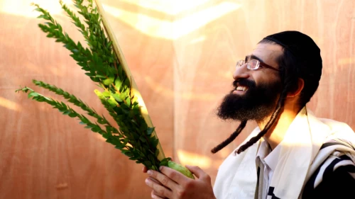 An observant Jewish man examines a palm branch, known as a lulav, for imperfections in the Mea Shearim neighborhood of Jerusalem on Sept. 21, 2010, a few days before the Jewish holiday of Sukkot. Photo by Abir Sultan/Flash 90.