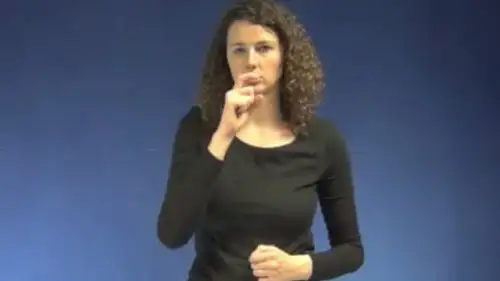 A screenshot of Flemish sign language for using a hooked nose to describe the word "Jew.” Credit: Screenshot.
