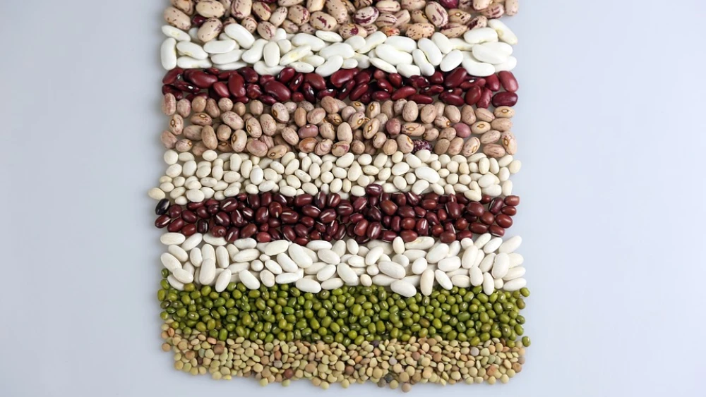 Dried beans. Credit: Pixabay.