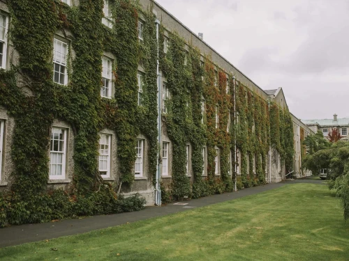 College Campus