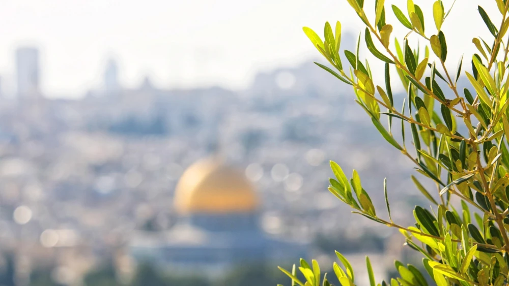 Olive-tree branches with the city of Jerusalem in the background. Credit: Kevin Snyman/Pixabay.