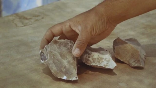 Ancient stone tools uncovered at a flint-knapping site near the city of Dimona in Israel's Negev Desert. Credit: Israel Antiquities Authority.