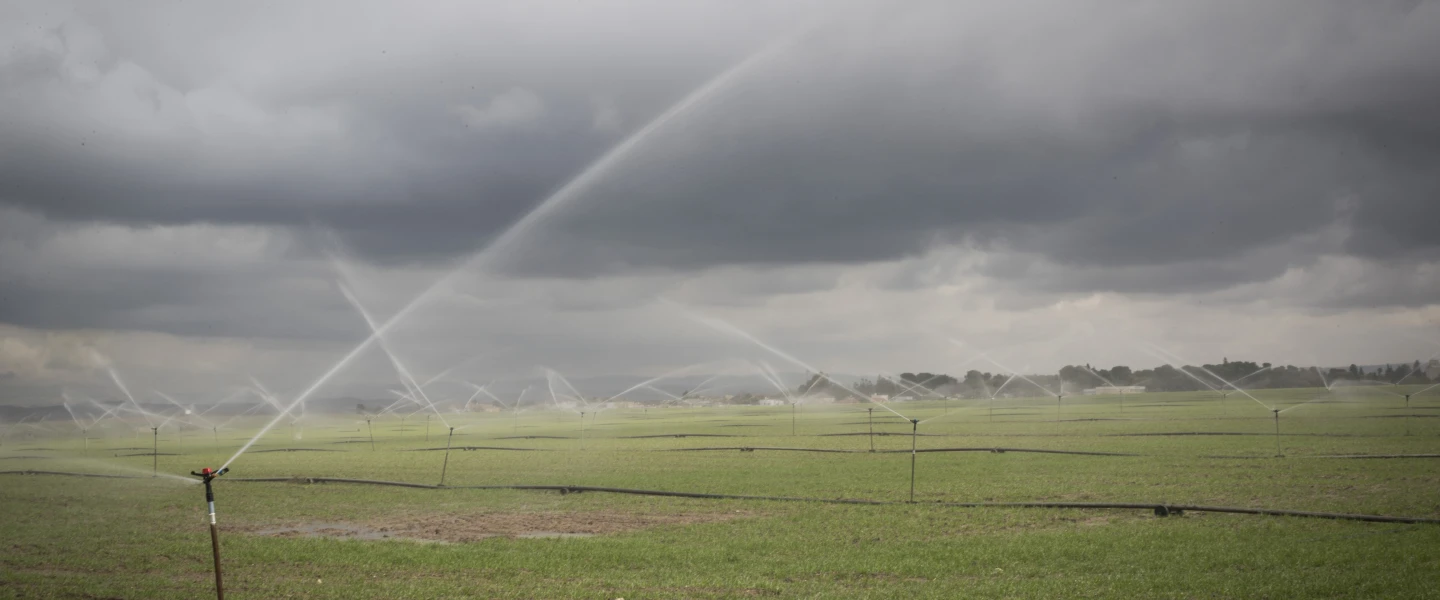 Sprinklers water the plantation fields near the southern Israeli city of Sderot, on Jan. 21, 2017. Photo by Nati Shohat/Flash90.