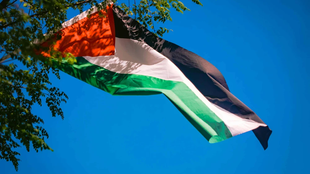 A PLO flag. Photo credit: Pexels/Pok Rie.
