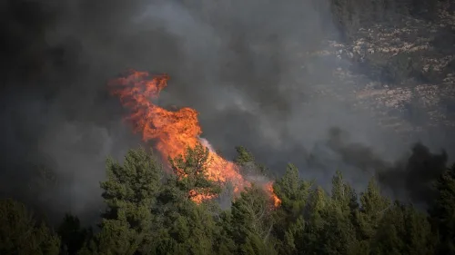 A forest fire nearing the treetops of Neve Ilan, outside of Jerusalem, Nov. 24, 2016. Photo by Yonatan Sindel/Flash90.