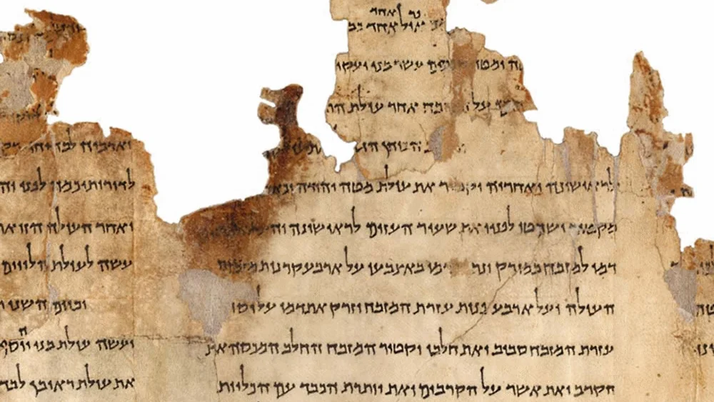 Portion of the Temple Scroll, labeled 11Q19, one of the longest of the Dead Sea Scrolls dating back to the second-century C.E. Credit: Israel Museum, Jerusalem.