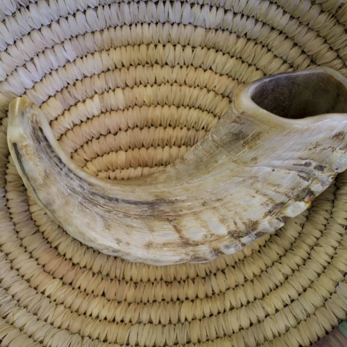 Shofar