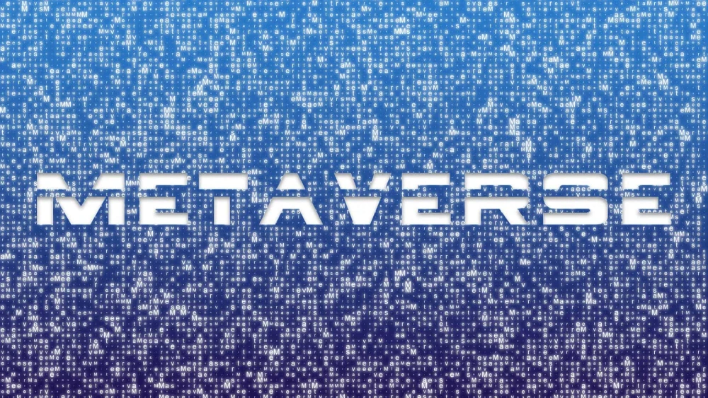Meta Verse, Metaverse
