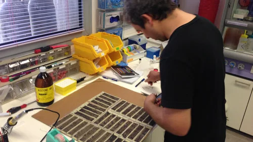 Inside the studio of the Israeli start-up SolarPaint. Credit: Courtesy of SolarPaint.