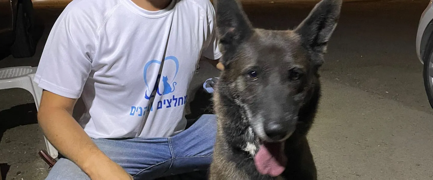 Adam Benett rescues a dog at a kibbutz in southern Israel. Credit: Courtesy.