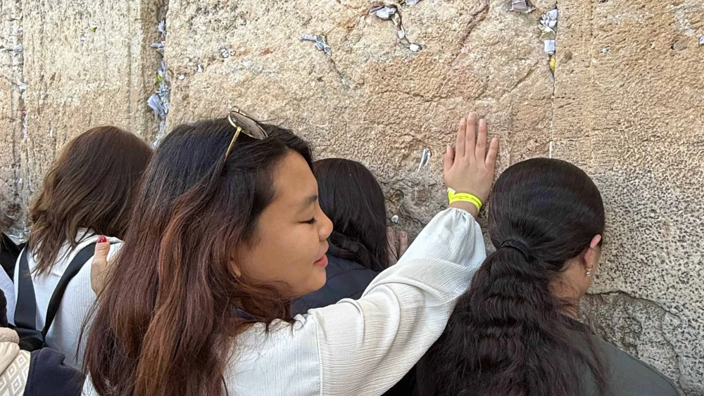 Caravan for Democracy