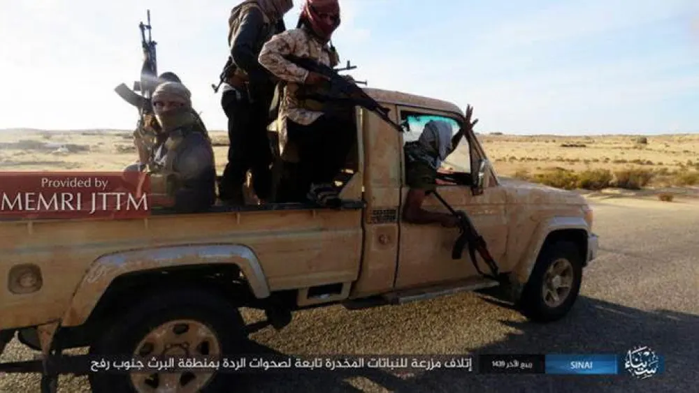 ISIS fighters brandish their weapons while riding a truck south of Rafah in the Gaza Strip. Credit: MEMRI.