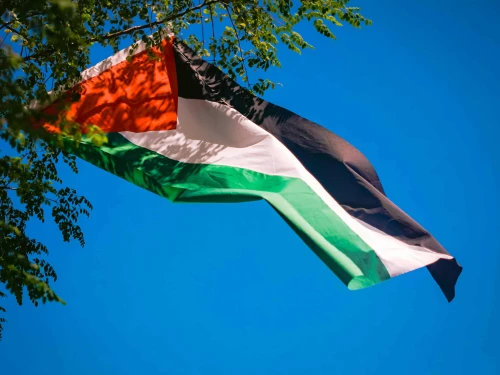 A PLO flag. Photo credit: Pexels/Pok Rie.
