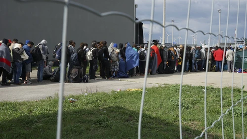 Syrian refugees wait in line to cross the border of Hungary and Austria on their way to Germany in September 2015. Credit: Mstyslav Chernov via Wikimedia Commons.