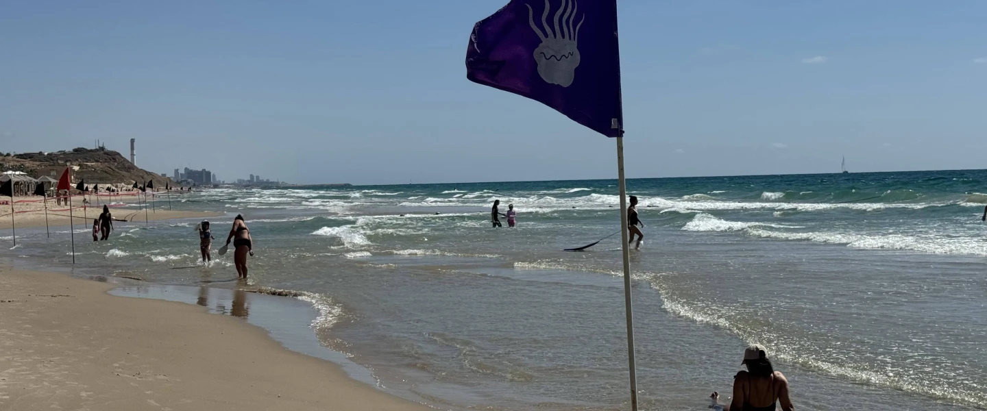 Bathers swim near a purple flag warning of jellyfish at a Tel Aviv beach, July 7, 2025. Photo by Howard Blas.