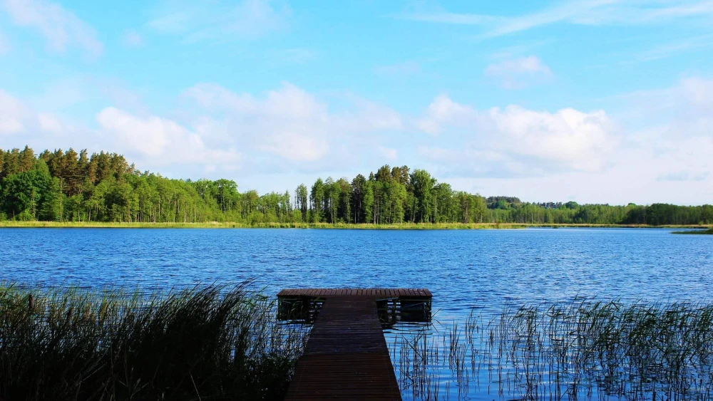 Summer Camp, Lake