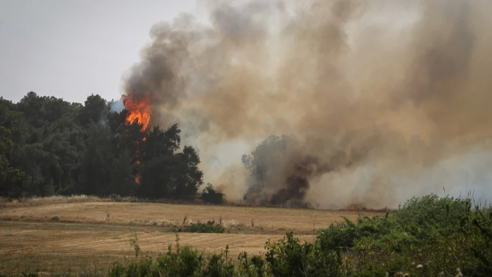 View of a fire raging in near the Ben Shemen Forest on May 23, 2019. Photo by Flash90.