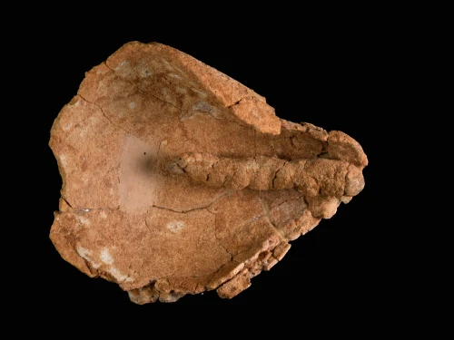 The oil lamp with a fabric wick is one of the oldest known in the world. Credit: Dafna Gazit, Israel Antiquities Authority.