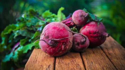 Beets: A Passover staple. Credit: Pixabay.