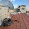Missile fragments from an Iranian attack on Jerusalem damaged the roof of the Church of the Holy Sepulchre and fell near other Old City holy sites, including the Armenian Patriarchate, the Jewish Quarter and the Temple Mount near Al-Aqsa Mosque, according to the Israeli Foreign Ministry. Source: @Israel/X.