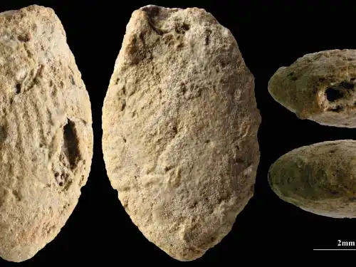 A butterfly clay bead from the Final Natufian period in Eynan-Mallaha (Upper Jordan Valley), colored red with ochre and marked with the fingerprints of the child (≈10 years old) who modeled it 12,000 years ago. Credit: Laurent Davin