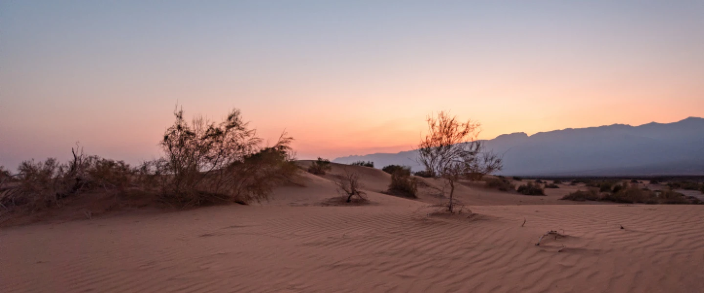The Sands of Samar, a dune expanse in the Arava region of southern Israel, near Eilat, on Aug. 30, 2019. Photo by Mila Aviv/Flash90.