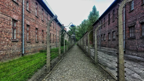 Auschwitz Color