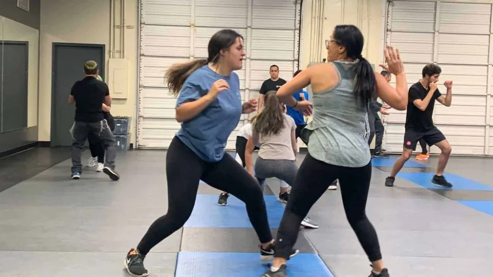Divad Program Shield of David program battles anti-Semitism through Krav Maga and ...