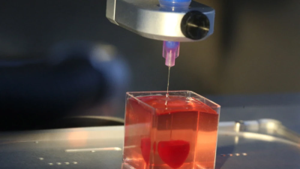 A view of the first 3D-printed vascularized engineered heart during a press conference at a Tel Aviv University laboratory, April 15, 2019. Photo by Flash90.