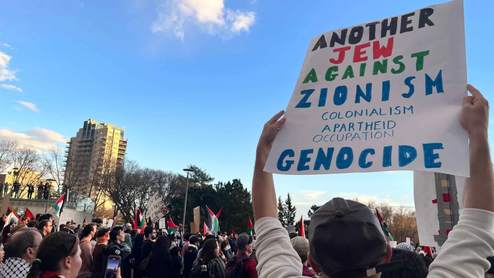 Anti-Zionism, Zionism Is Racism Sign