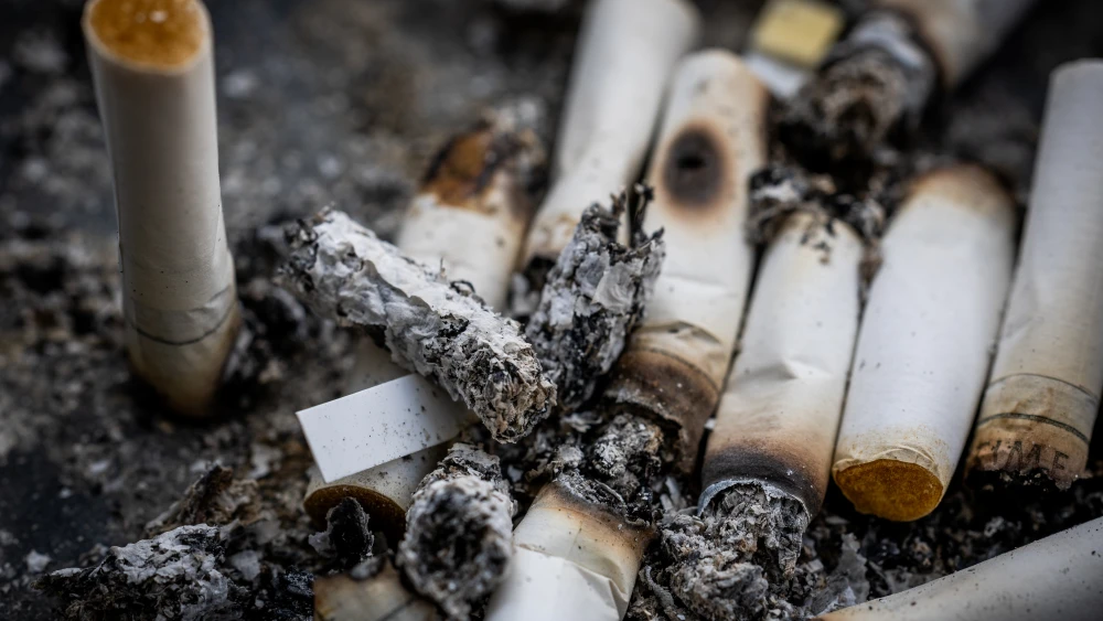 Illustration of an ashtray with cigarettes, August 24, 2024. Photo by Nati Shohat/Flash90.