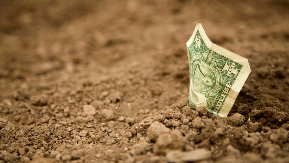 U.S. dollar. Credit: nadjadonauer/Pixabay.