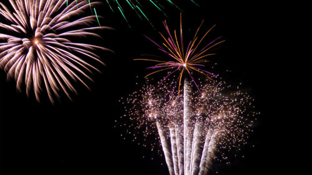 Click photo to download. Caption: New Year's fireworks. Credit: Graham Crumb via Wikimedia Commons.