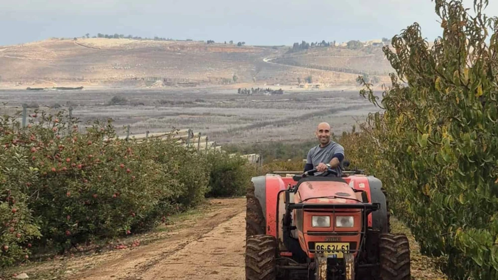 Volunteer Liron Shmuel in Moshe Weinstein's apple orchard in Metula. Credit Hashomer HaChadash.