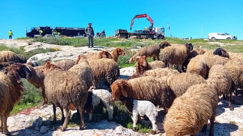 Givat Sde Yonatan, an outpost near Ma'ale Michmash in the Binyamin region of Samaria, was dismantled by Israeli security forces on Feb. 29, 2024. Credit: Elisha Yered/X.