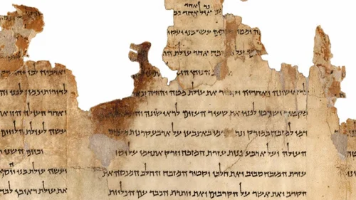 Portion of the Temple Scroll, labeled 11Q19, one of the longest of the Dead Sea Scrolls dating back to the second-century C.E. Credit: Israel Museum, Jerusalem.