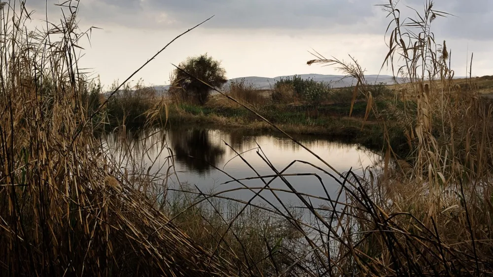 Ein Sukkot in the Jordan Valley. Photo by Matanya Tausig/Flash 90.