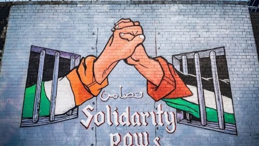 A visual used on college campuses in Ireland supporting Palestinians, anti-Israel bias and the BDS movement. Source: Screenshot.