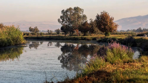The Hula Valley lake in northern Israel, Oct. 22, 2021. Photo by Yossi Zamir/Flash90.