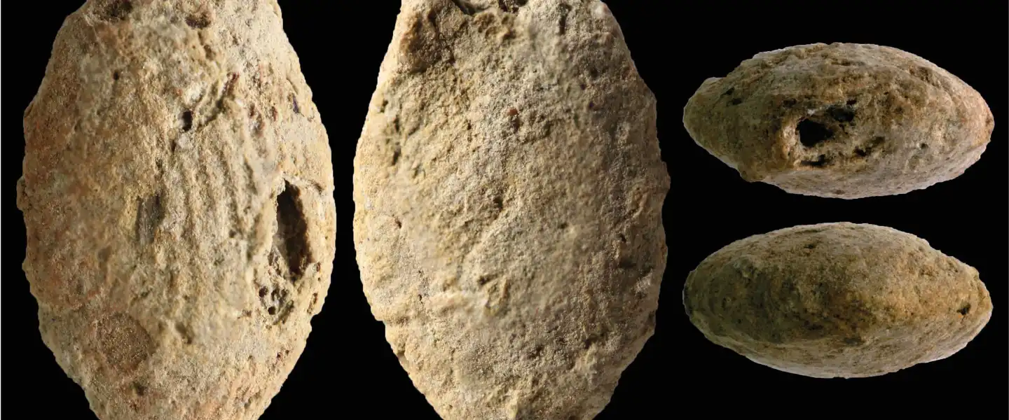 A butterfly clay bead from the Final Natufian period in Eynan-Mallaha (Upper Jordan Valley), colored red with ochre and marked with the fingerprints of the child (≈10 years old) who modeled it 12,000 years ago. Credit: Laurent Davin