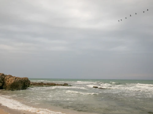 View of the Palmachim beach following an offshore oil spill that caused tons of tar to wash up on most of Israel's coastline. Feb. 23, 2021. Photo by Yossi Aloni/Flash90.