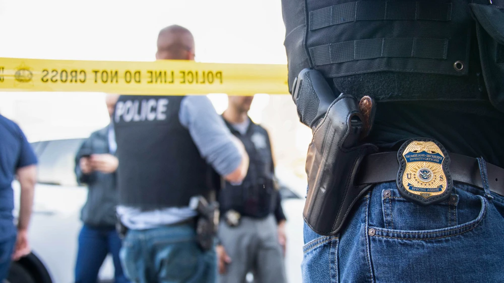 Homeland Security Investigations