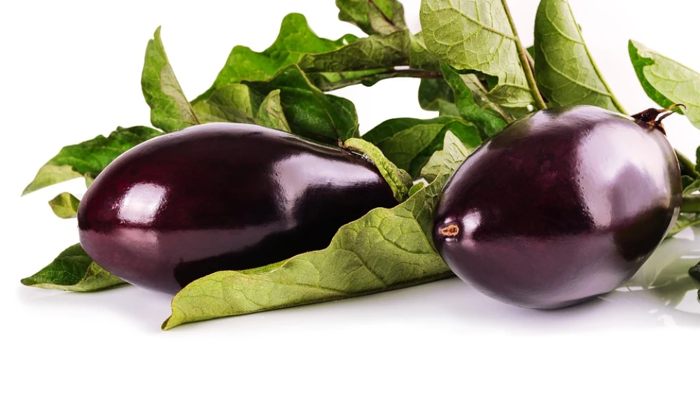 Baby eggplant. Credit: Pixabay.