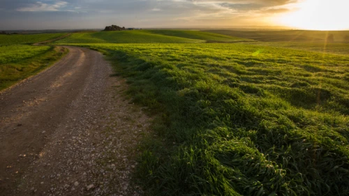 Sunrise in Bitronot Ruchama, a nature reserve of badlands in the area of Kibbutz Ruchama in the Western Negev, in southern Israel, on April 13, 2017. Photo by Maor Kinsbursky/Flash90.