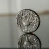 Silver Coin, City of David
