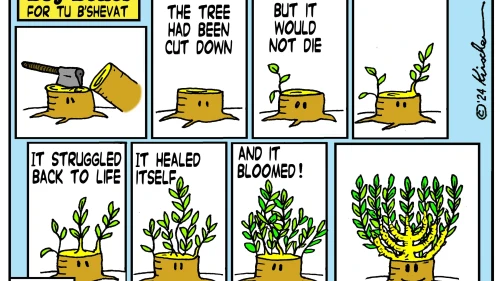 Credit: Yaakov (DryBones) Kirschen.