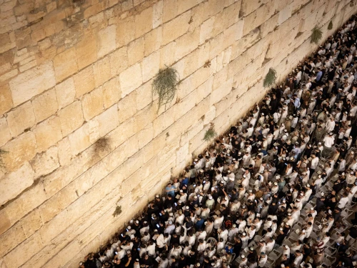 Jews pray at the Western Wall in the Old City of Jerusalem, Israel, early on Aug. 26, 2025. Photo by Chaim Goldberg/Flash90.